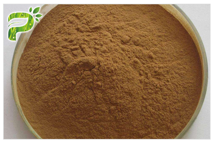  Ginseng Root Extract 20(R)-Ginsenoside Rh2/rg 3 Anticancer Manufactures