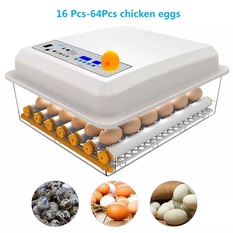  Chicken Duck Small PP Egg Hatching Incubators Full Automatic For Poultry Farm Manufactures
