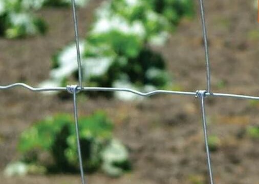  Goat Sheep Cattle 4.0mm Wire Mesh Farm Fencing Corrosion Resistance Manufactures