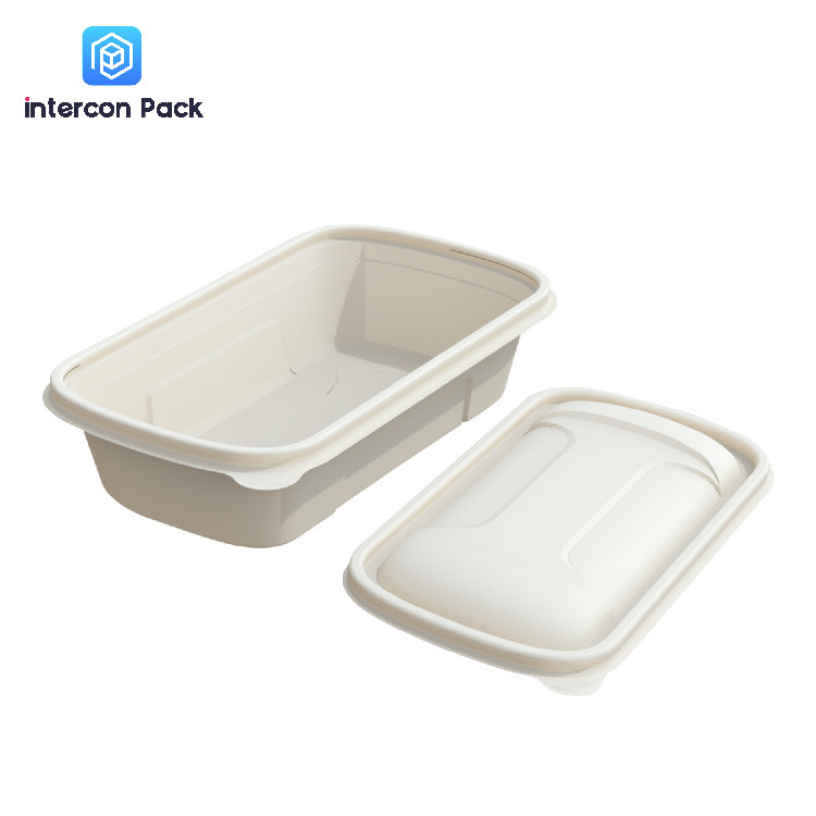  Bagasse Bamboo Paper Pulp Moulded Trays Disposable Paper Food Container Manufactures