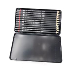  Professional 18 Pcs Artist Sketch Charcoal Pencil Set For Sketching And Drawing Standard PencilsWood Body For Office Manufactures