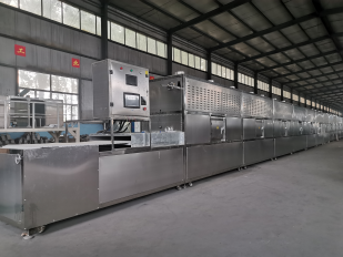 Microwave Thawing Equipment for Frozen Sea Cucumber