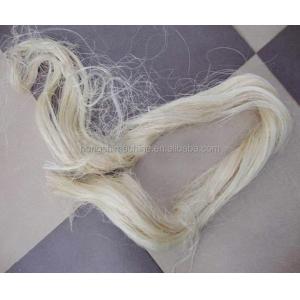 High Quality Banana Tree Stem Fiber Decorticating Machine Easy To Use