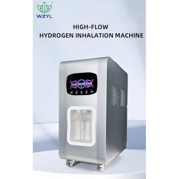 Quality 3000ml Voltage Hydrogen Inhalation Machine for Medical Design Model by Weizi Maximum H2 Gas 1500-6000ml Silver for sale