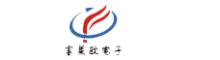 China Shenzhen Flier Electronic Co., Ltd. logo