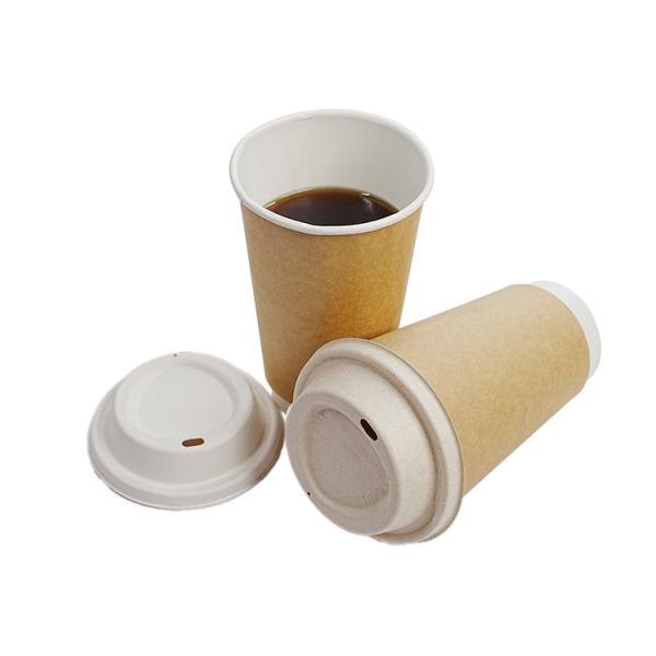 Customized biodegradable disposable coffee paper cup single and double paper coffee cup with lid