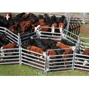 6 Square Rails 1.8m X 2.09m Heavy Duty Cattle Panel With Locking Pins