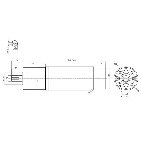 57mm Planetary Gear Motor