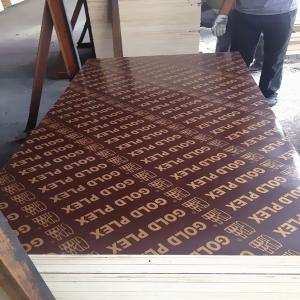  1220*2440* 18mm phenolic plastic film faced plywood, Linyi marine plywood to Middle East Market Manufactures