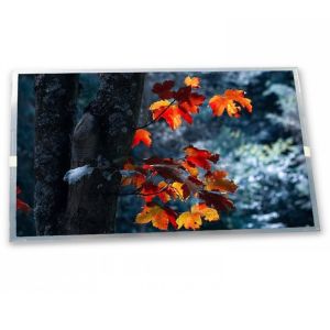  Custom ODM 12.3-Inch C123HAX04.U LCD Display Module with 1920*720 Resolution C123HAX04.U Manufactures