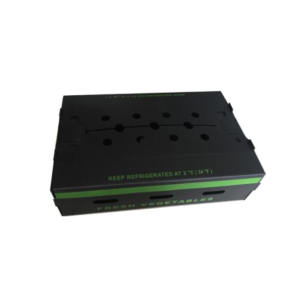 PP Corrugated Plastic Boxes Recyclable Collapsible Anti-corrosion Durable Customized