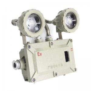  Outdoor Explosion Proof Emergency Lights IP66 36 Vac 2*5W Emergency Lamps Rechargable Led Manufactures