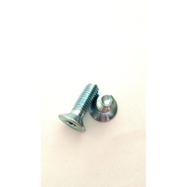 Special taptite machine screws with countersunk CSK torx head