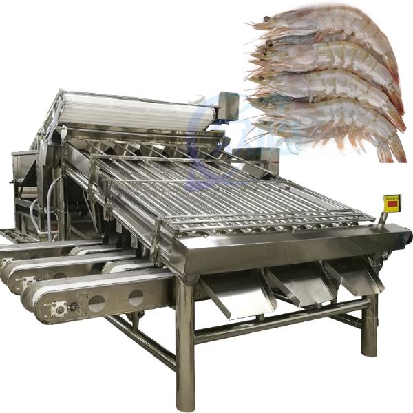 Quality Automatic shrimp sorting machine for shrimp peeling fresh prawn washing rolling sorting machine shrimp grader for sale