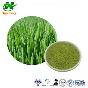 China Barley Grass Powder Barley Seedling Powder Barley Grass Juice Powder Hordeum Vulgare Linn on sale