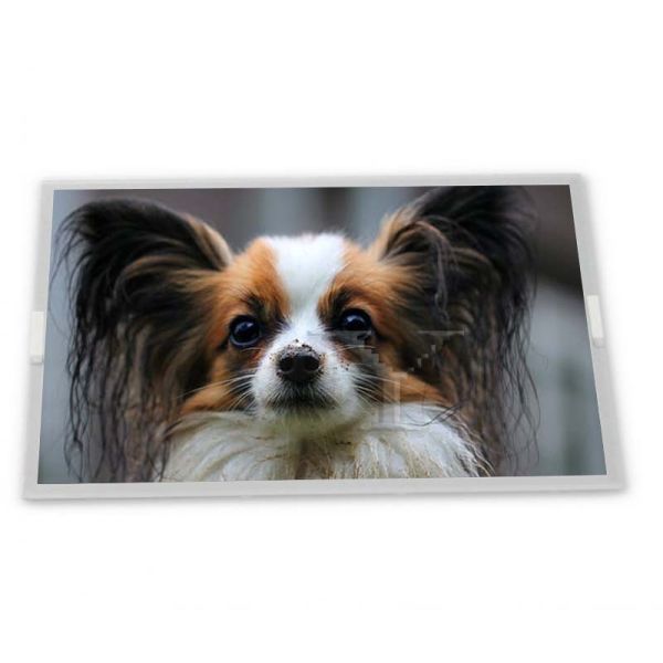 Quality LM238WF5-SSG2 23.8 TFT LCD Display Modules Quality supplier supplier lcd panel orginal highly adaptive for sale