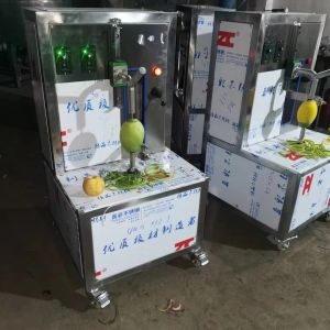 pineapple pulper mango peeling machine with pitting and pulping fruit pulp