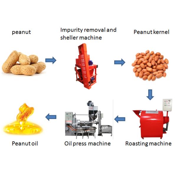 Automatic Screw Groundnut Oil Processing Machine Edible Oil Extraction Machine