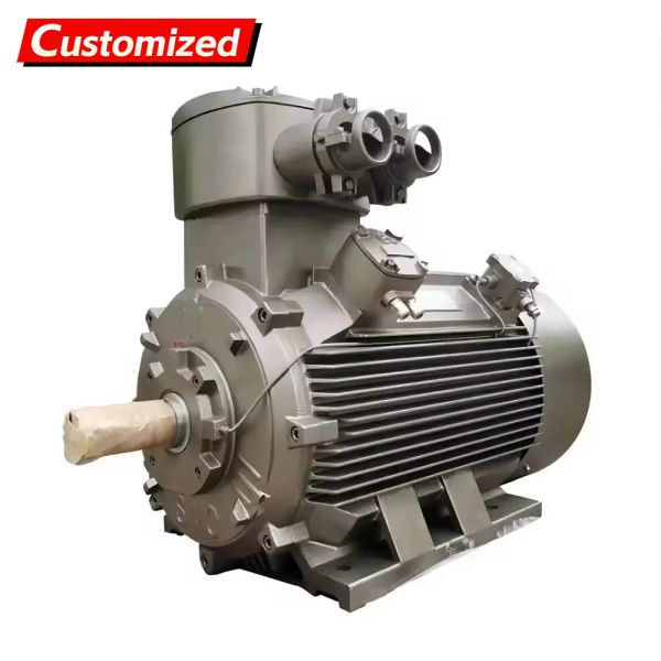 Custom-Made Explosion-Proof Three-Phase Asynchronous Motor with 50Hz Frequency and 22KW Power for Industrial Applications