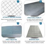 2x2 Welded Wire Mesh Fence Panels for Rabbit Cage Protection and Plain Weave
