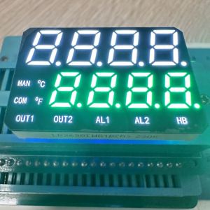  High Brightness White /Pure Green Dual Line 7 Segment LED Display Common Anode for Temperature Indicator Manufactures