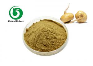  Macamides Maca Root Extract Powder For Men