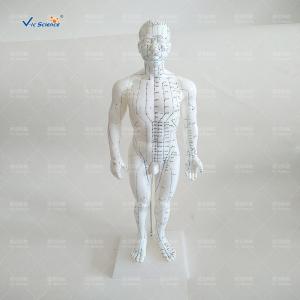  Medical Model Acupuncture Human Body Model for Teaching Mode Manufactures