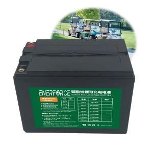  36V 48V 60V Golf Cart Battery Lifepo4 Battery Pack 100ah 150ah 200ah 300ah Grade A Manufactures