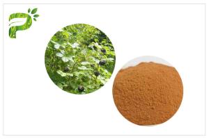China Improve Immune System Natural Food Supplements Siberian Ginseng Eleutherococcus Powder on sale
