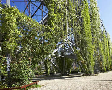 Stainless Steel Rope Mesh Green Wall