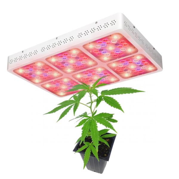 Quality 2900μMol/M²/S  Led Cob Grow Lightsl With UV IR Full Spectrum Long Using Lifetime for sale
