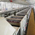 Multi Wire Gabion Mesh Electro Galvanizing Machine 720kg/Hour