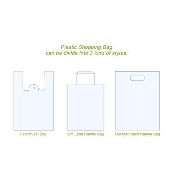 0.12mm Biodegradable Handle Plastic Bag For Shopping