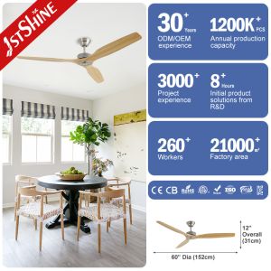 Installation Ceiling 60" Low Noise Ceiling Fan with Remote Control and Private