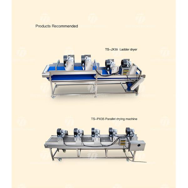 350KG Stainless steel fruit and vegetable processing air drying machine group production line