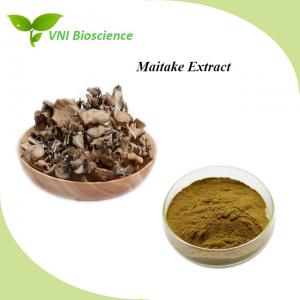  Food Maitake Mushroom Extract Powder Brown Griflola Frondosa Extract Manufactures