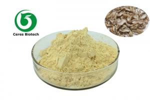  Natural Health Care Products Horseradish Root Extract Powder 10/1 20/1 Manufactures