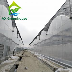 China ODM Transparent Polycarbonate Plastic Film Greenhouse Side Top Ventilation Greenhouse on sale