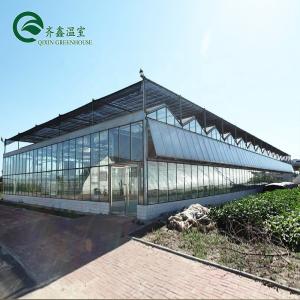 China Multi-Span Agricultural Greenhouses Top Covering with Tempered Glass or PC Sheet on sale