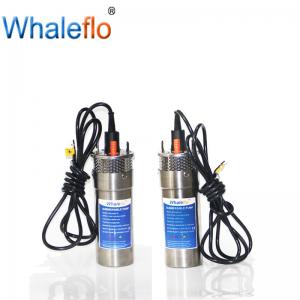  Whaleflo Flow 8/12/20LPM 12V/24V DC Submersible Solar Energy Water Pump for Outdoor Garden Deep Well Car Wash Manufactures