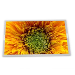  4.8-Inch WLED TFT LCD Display Module EL240.128.45 with 240*128 Resolution Specific Application for WLED LCD Modules Manufactures