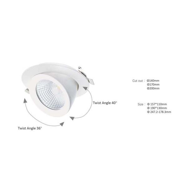 Gimbal LED Scoop Downlight