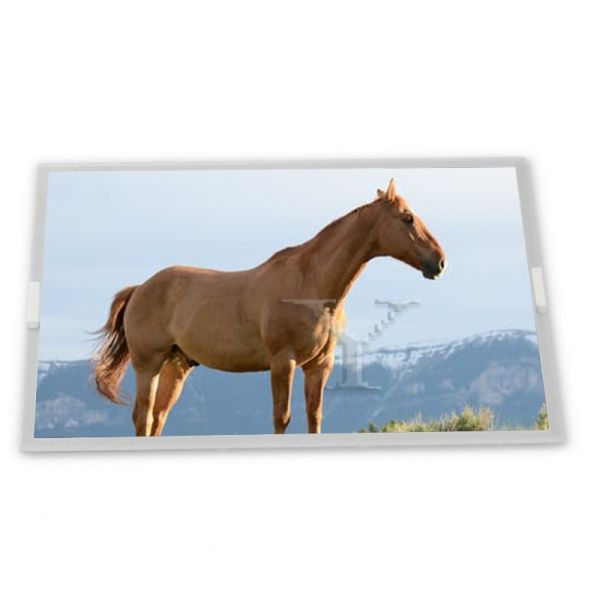 Quality High Resolution 8.4-Inch New Compatible WLED LCD Display Module 640*480 ODM LQ9D011K Modules for sale