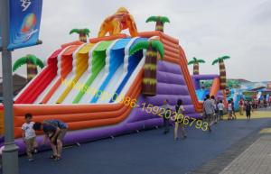  long abult obstacle course for event Manufactures