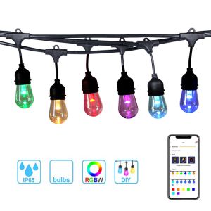 China LED Cafe lights with Tuya APP Wifi smart RGBW String Lights 48ft 24sockets hanging lights for patio comme on sale