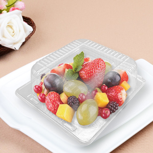 Clamshell Hinged Blister Salad Foldable Pack, Compartment Meal Prep Container Airtight Take Away Lunch Box