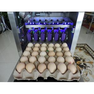 Automatic Egg Batch Coding Inkjet Printer With Thermal Foam Type Nozzle