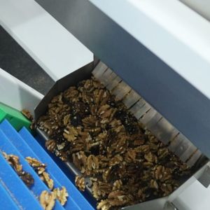 High-Throughput Walnut Kernel Sorting Machine Handles Large Volume Nut