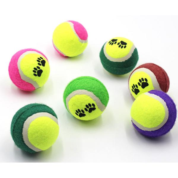 Interactive Safe Rubber Pet Tennis Balls For Traning Exercise Playing