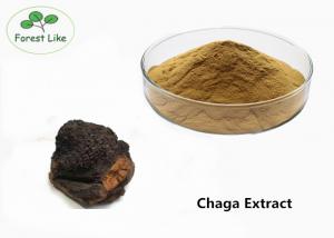  Herb Extract Chaga Mushroom Extract Powder 5% Triterpene  Food Supplement Manufactures